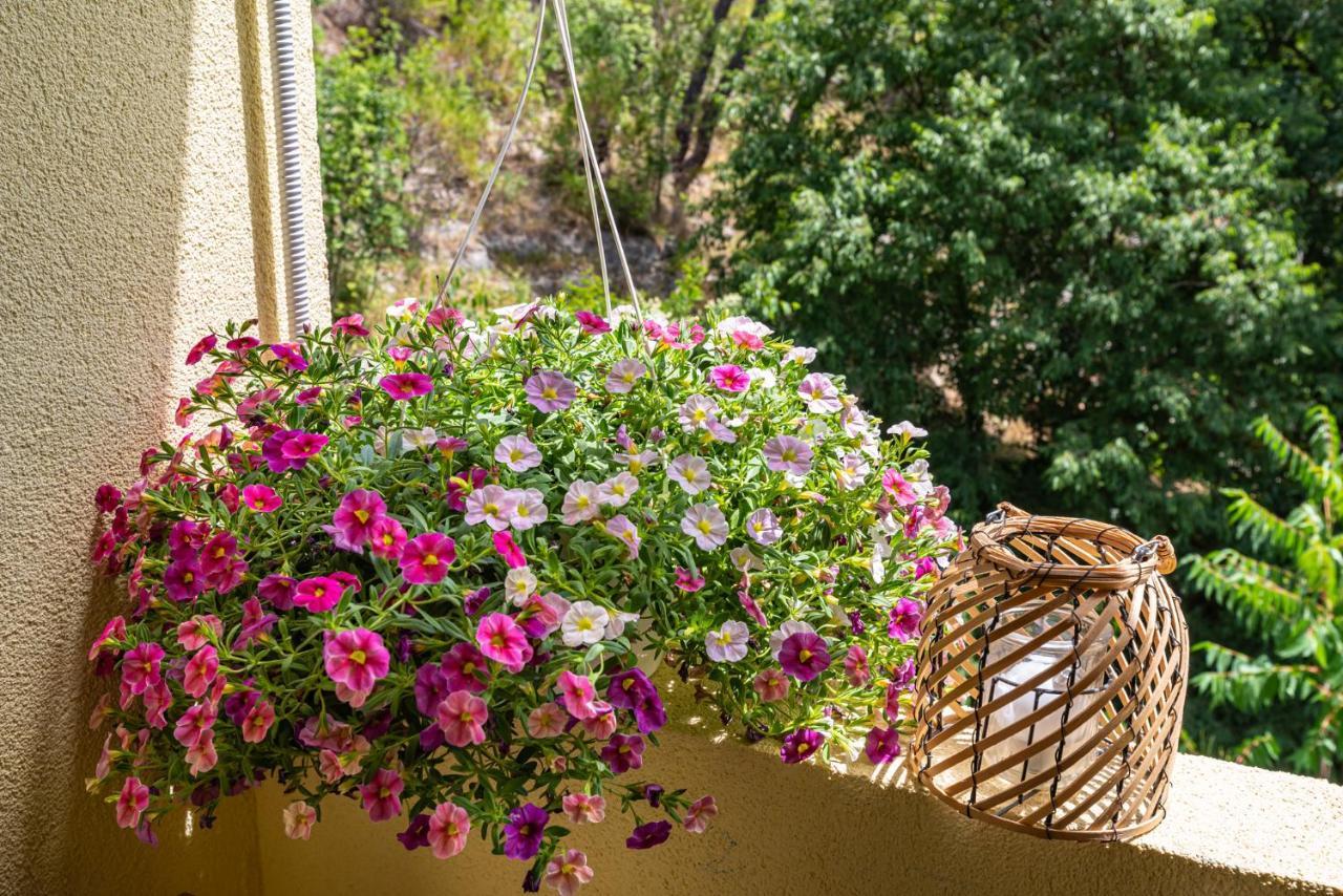Apartment Maris2 Novigrad  Exterior foto